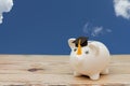 A white piggy bank with grad cap on weathered wood with sky back Royalty Free Stock Photo