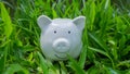 White piggy bank green grass nature background, financial and saving money for retirement concept