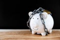 White Piggy bank locked, chained with black background, Protect savings, Protect capital, Protect retirement fund concept Royalty Free Stock Photo