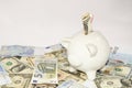 White piggy bank standing on euros and dollars Royalty Free Stock Photo