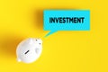 White piggy bank with the word investment on a speech bubble. Financial savings, investment and business growth concept