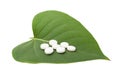 White pills on green leaf Royalty Free Stock Photo