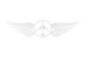 White Pilot Wing Emblem, Badge or Logo Symbol in Clay Style. 3d Rendering