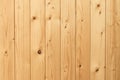 White pine wood surface. Grain timber texture background. Wood texture background, oak wood wall fence. Light wood plank texture Royalty Free Stock Photo