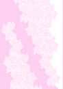 White and pink background Royalty Free Stock Photo