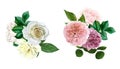 White and pink bouquets, english roses, hand drawn