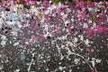 white and pink colors paint drops on the floor Royalty Free Stock Photo