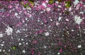 white and pink colors paint drops on the floor Royalty Free Stock Photo