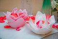 Beautiful origami flower made of napkin on white background . Petals of a red rose . White and pink flowers on napkins. Royalty Free Stock Photo