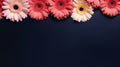 Minimalist Gerbera Daisy Bouquet On Dark Blue Background