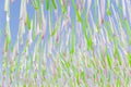 White, pink and green strings against blue sky, street festival decoration