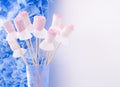 White and Pink Marshmallow Candies on Sticks with White Baking Cups. Kids Party Food and Decoration