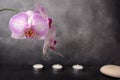 White and pink orchid, spa stone, and three candles on grey background Royalty Free Stock Photo