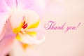 White pink orchid with text thank you Royalty Free Stock Photo