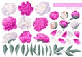 Set of floral elements with peonies flowers and leaves.