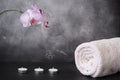 White and pink moth orchid flowers, towel, and three candles on grey background Royalty Free Stock Photo