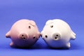 White and pink piggies bank recumbent on blue background