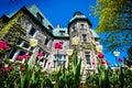 White and pink spring tulip in front of the Saint-Hyacinthe City Hall Royalty Free Stock Photo