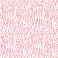 White on pink zebra stripe print seamless repeat pattern background Royalty Free Stock Photo
