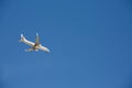 White plane is landing against blue sky Royalty Free Stock Photo