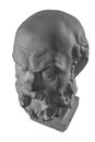 White plaster bust, sculptural portrait of Socrates