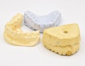 Dental Molds on White Background Royalty Free Stock Photo