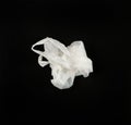 White Plastic Bags on Black Background, Crumpled Plastic Bag after Shopping, Cellophane Packaging Waste