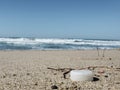White plastic bottle cork on sandy sea coast, polluted ecosystem,microplastics Royalty Free Stock Photo