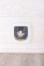 White plastic cat door