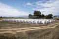 White plastic covered bales on a farm