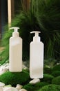 White Plastic dispenser bottles with body cream Royalty Free Stock Photo