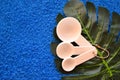 White plastic measuring spoons lie on a palm leaf on a blue cloth background Royalty Free Stock Photo
