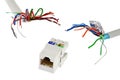 Network RJ45 UTP female socket is chased by two UTP/STP cables that looks like tentacles of a monster, white background Royalty Free Stock Photo