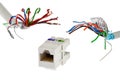 White plastic network RJ45 UTP female socket is chased by two UTP/STP cable wires that looks like tentacles of a monster, white ba Royalty Free Stock Photo