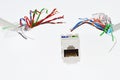 White plastic network RJ45 UTP female socket is chased by two UTP/STP cable wires that looks like tentacles of a monster,