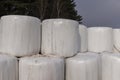 white plastic packaging for hay during storage in winter Royalty Free Stock Photo