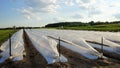 White plastic row covers in field Royalty Free Stock Photo