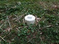 White plastic sewer cleanout pipe in yard with grass Royalty Free Stock Photo