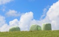 The white plastic wrapped round hay bales (silage) with clear bl