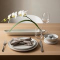 A white plate with a beige napkin secured by a silver ring positioned Royalty Free Stock Photo