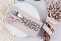 White plate, blue glass, cutlery and willow Royalty Free Stock Photo