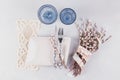 White plate, blue glass, cutlery and willow Royalty Free Stock Photo