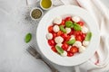 White plate of classic delicious caprese salad with ripe tomatoes, mozzarella and fresh basil leaves on gray background. copy spac Royalty Free Stock Photo