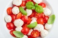 White plate of classic delicious caprese salad with ripe tomatoes, mozzarella and fresh basil leaves on gray concrete background. Royalty Free Stock Photo