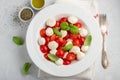 White plate of classic delicious caprese salad with ripe tomatoes, mozzarella and fresh basil leaves on gray concrete background. Royalty Free Stock Photo