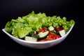 White plate of delicious vitamin salad with fresh tomatoes, cucumbers and herbs