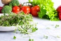 White plate with fresh micro greens is on a white plate with green and red vegetable Royalty Free Stock Photo