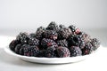 White plate of fresh ripe juicy shiny blackberries, close-up Royalty Free Stock Photo