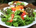 White plate of fresh salad vegetables with balsamic dressing