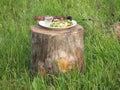 White plate with fresh vegetables, potatoes, fried meat and a shot of vodka standing on the old tree stump Royalty Free Stock Photo